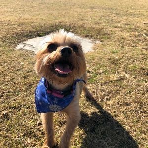 Meet your Posher, Angela